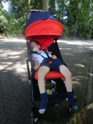 Max sleeping in front of the Kinderspoor attraction at the Ruigrijk kingdom