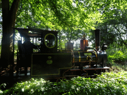 Steam train at the Ruigrijk kingdom