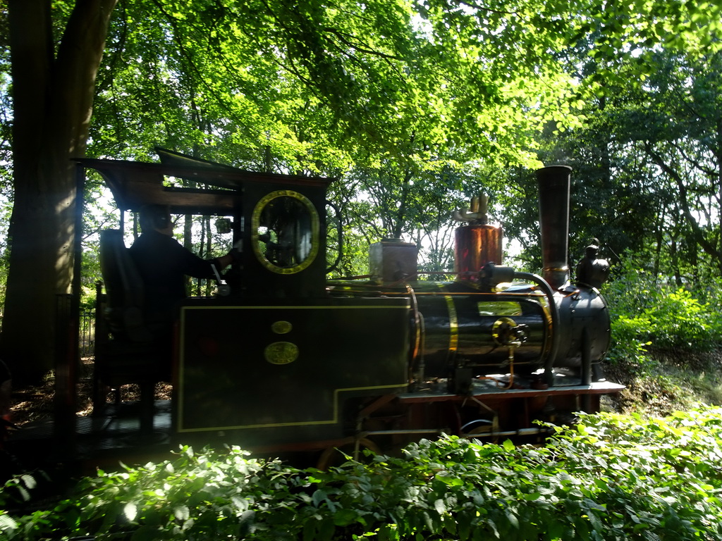 Steam train at the Ruigrijk kingdom
