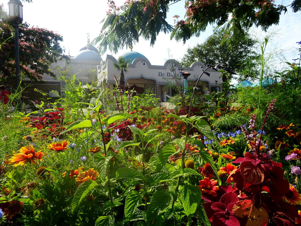 Flowers in front of the Bazaar at the Anderrijk kingdom