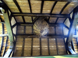 Ceiling of the Leunhuys building at the Laafland attraction at the Marerijk kingdom
