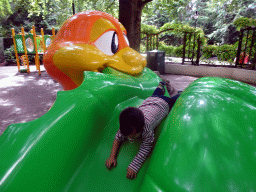 Max on a slide at the Kleuterhof playground at the Reizenrijk kingdom