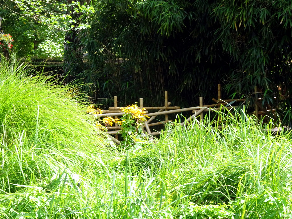 Bridge at the Adventure Maze attraction at the Reizenrijk kingdom, viewed from the walking bridge to the Monsieur Cannibale attraction