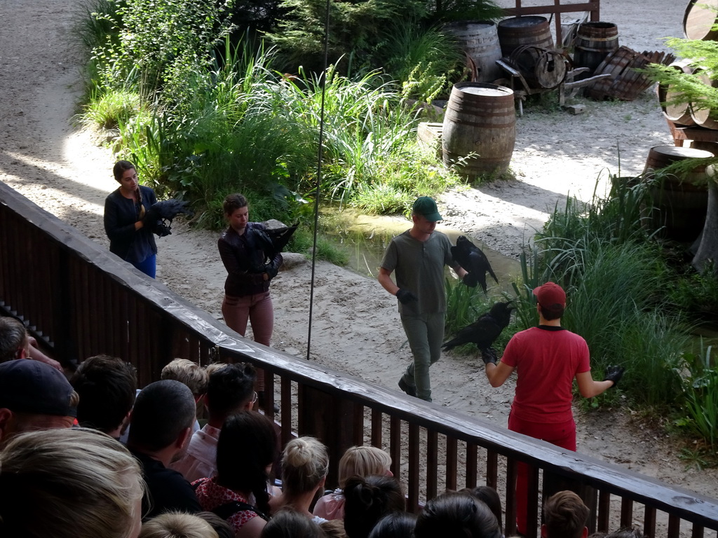 Actors and birds on the stage of the Raveleijn theatre at the Marerijk kingdom, during the Raveleijn Parkshow