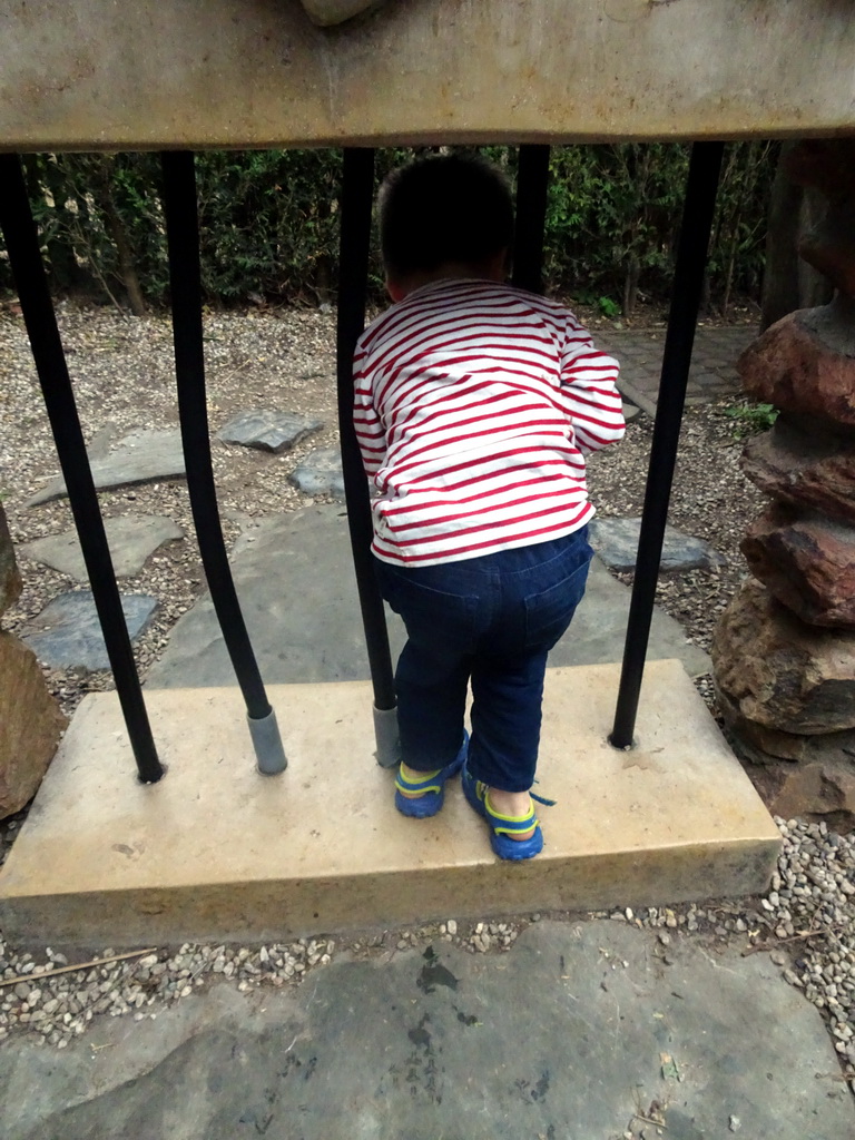 Max passing through a fence at the Adventure Maze attraction at the Reizenrijk kingdom