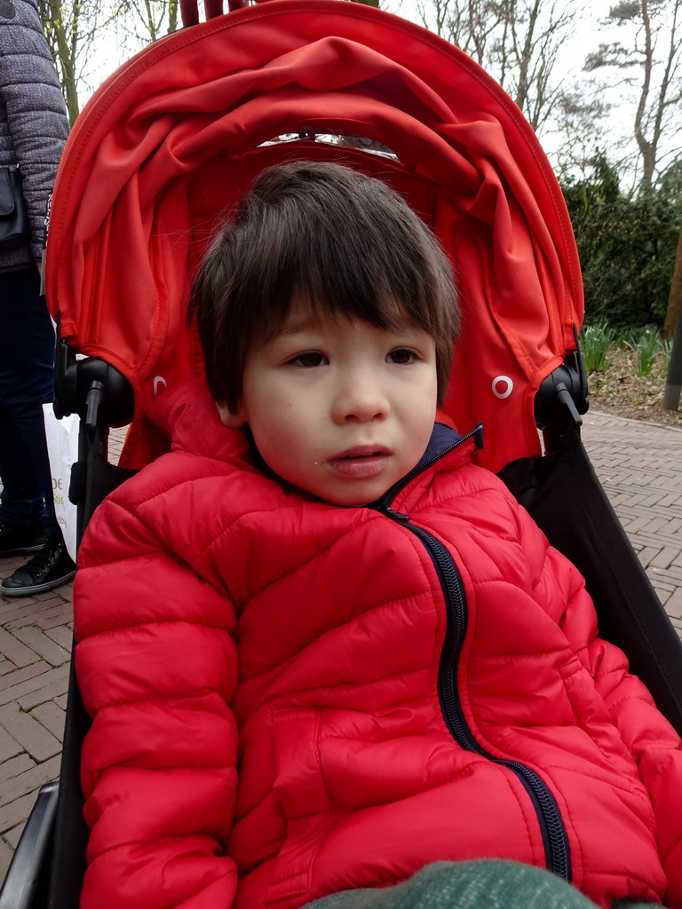 Max at the Fairytale Forest at the Marerijk kingdom