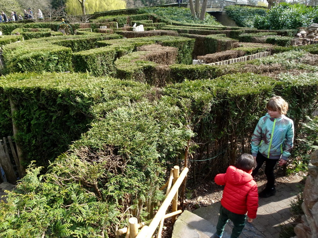 Max at the Adventure Maze attraction at the Reizenrijk kingdom