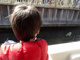 Max with a duck at the Gondoletta attraction at the Reizenrijk kingdom