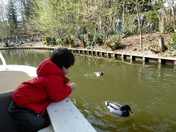 Max with ducks at the Gondoletta attraction at the Reizenrijk kingdom