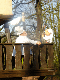 Laaf people at the Lariekoekhuys building at the Laafland attraction at the Marerijk kingdom, viewed from the monorail