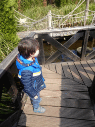 Max on a bridge at the Adventure Maze attraction at the Reizenrijk kingdom