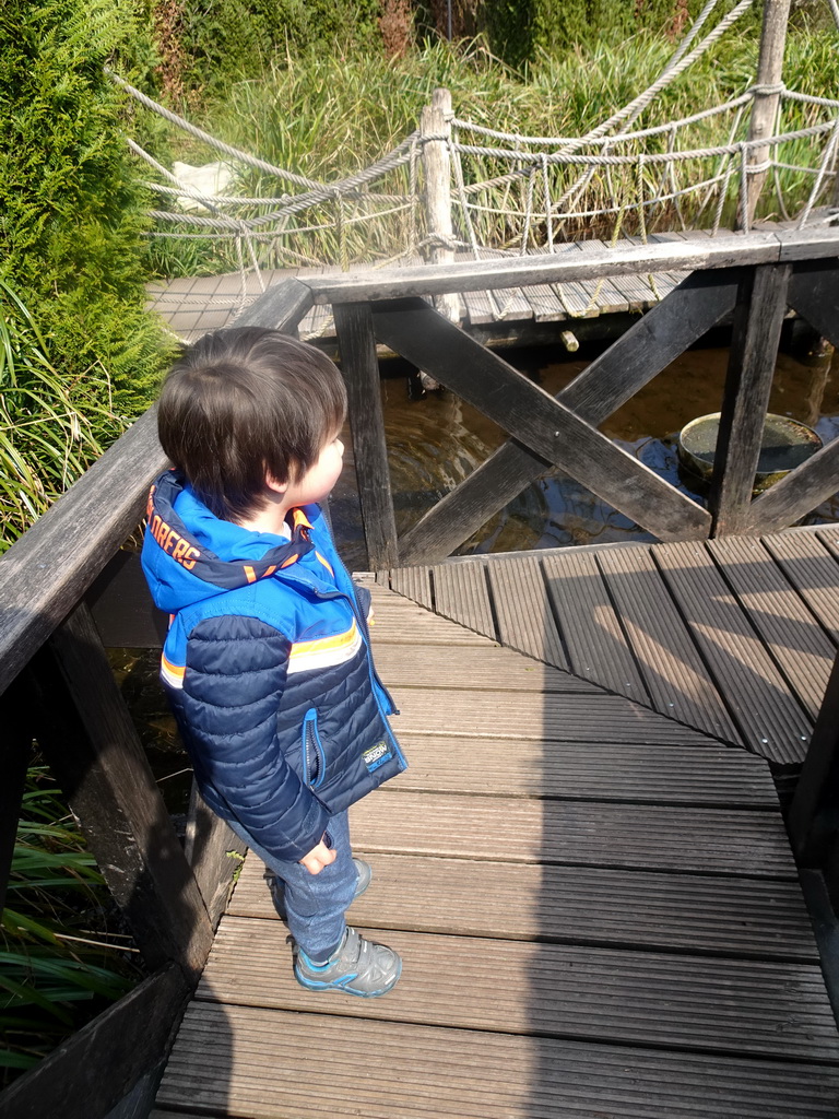 Max on a bridge at the Adventure Maze attraction at the Reizenrijk kingdom