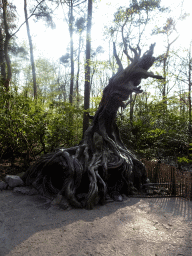 Tree house at the Gnome Village attraction at the Fairytale Forest at the Marerijk kingdom