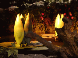 Water Lilies at the Indian Water Lilies attraction at the Fairytale Forest at the Marerijk kingdom