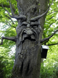 Talking tree `Kniesoor` at the Fairytale Forest at the Marerijk kingdom