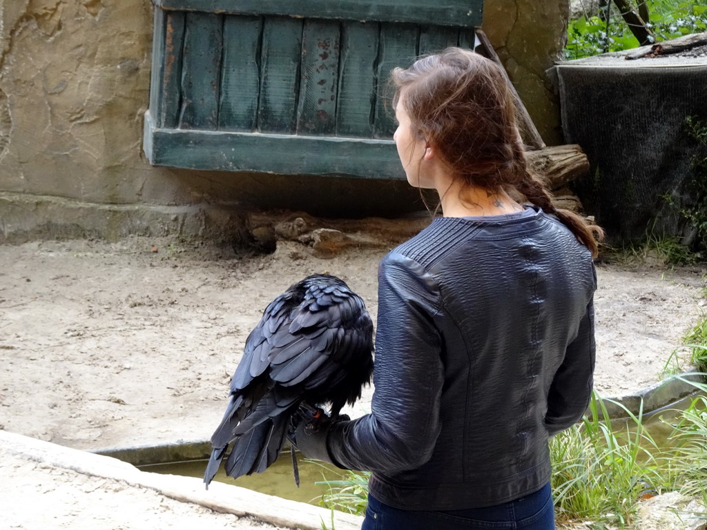 Actor and bird on the stage of the Raveleijn theatre at the Marerijk kingdom, during the Raveleijn Parkshow