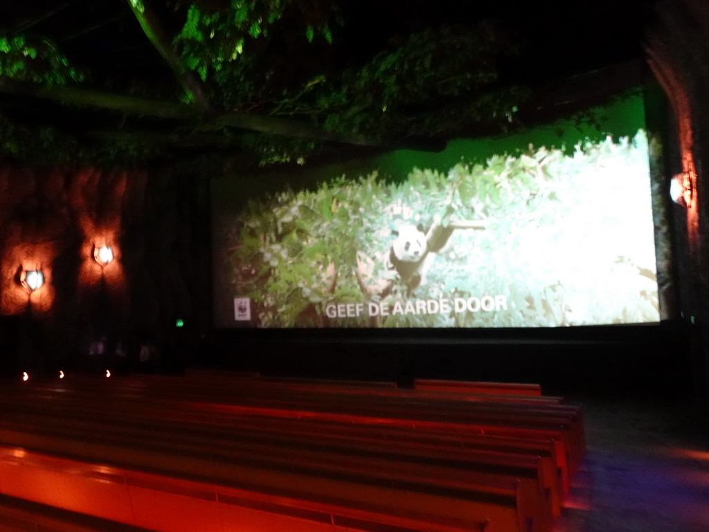 Interior of the Pandadroom attraction at the Anderrijk kingdom