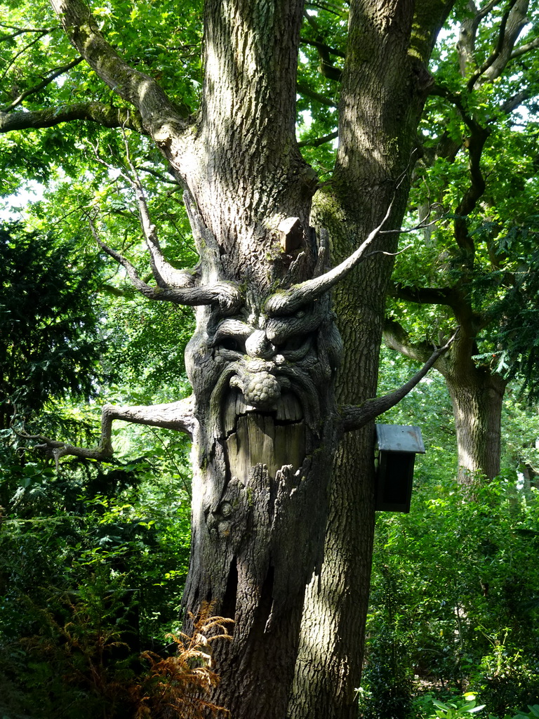 Talking tree `Kniesoor` at the Fairytale Forest at the Marerijk kingdom