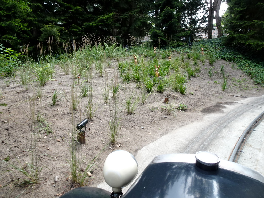 Rabbits at the Oude Tufferbaan attraction at the Ruigrijk kingdom, viewed from an automobile