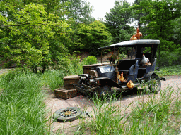 Automobile and chickens at the Oude Tufferbaan attraction at the Ruigrijk kingdom, viewed from an automobile