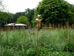 Scarecrow with chickens at the Oude Tufferbaan attraction at the Ruigrijk kingdom, viewed from an automobile