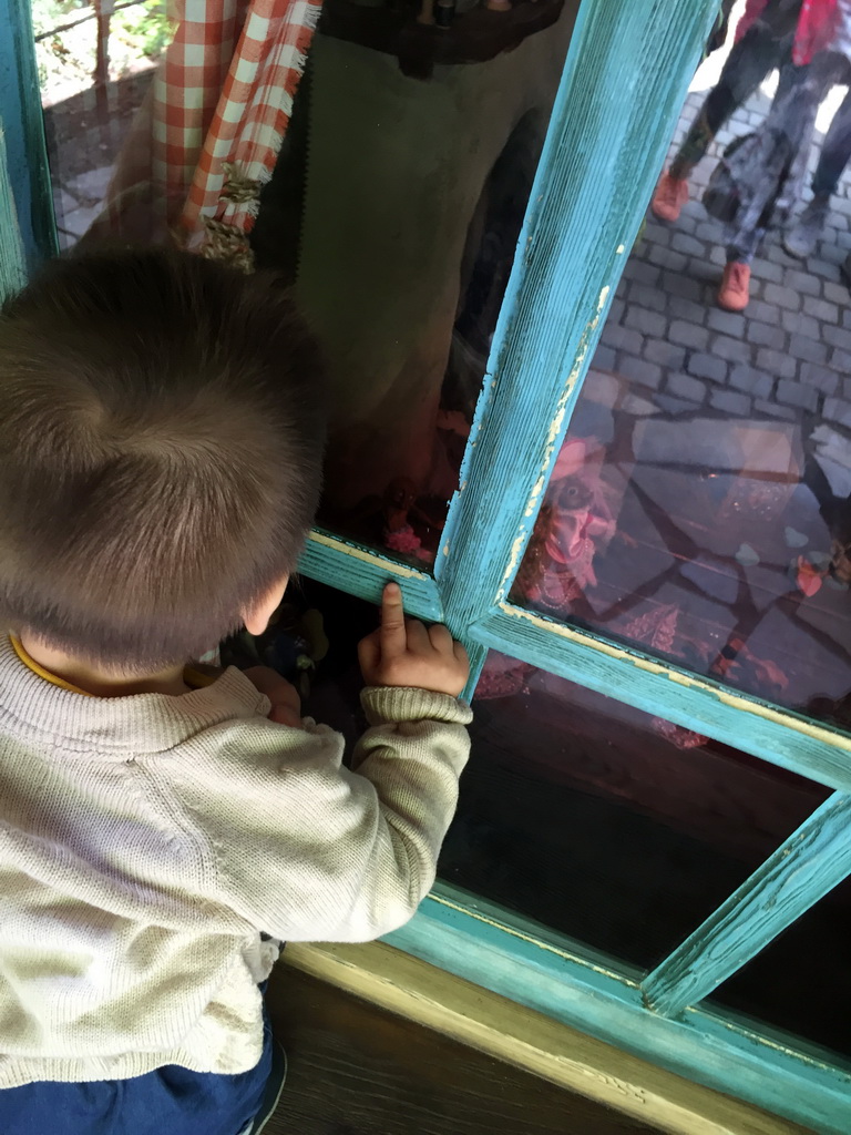 Max in front of Geppetto`s House at the Pinocchio attraction at the Fairytale Forest at the Marerijk kingdom