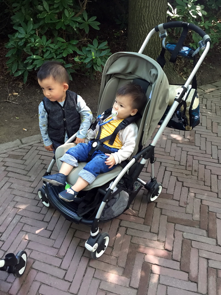 Max and his friend at the Fairytale Forest at the Marerijk kingdom