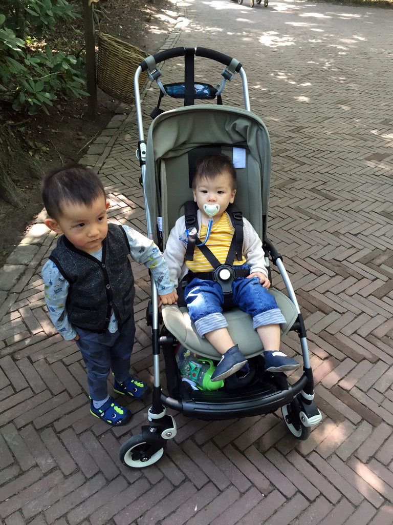 Max and his friend at the Fairytale Forest at the Marerijk kingdom