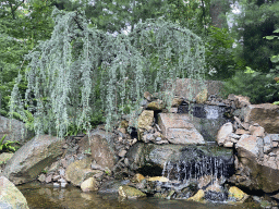 Tree and waterfall at the Six Swans attraction at the Fairytale Forest at the Marerijk kingdom, viewed from one of the boats