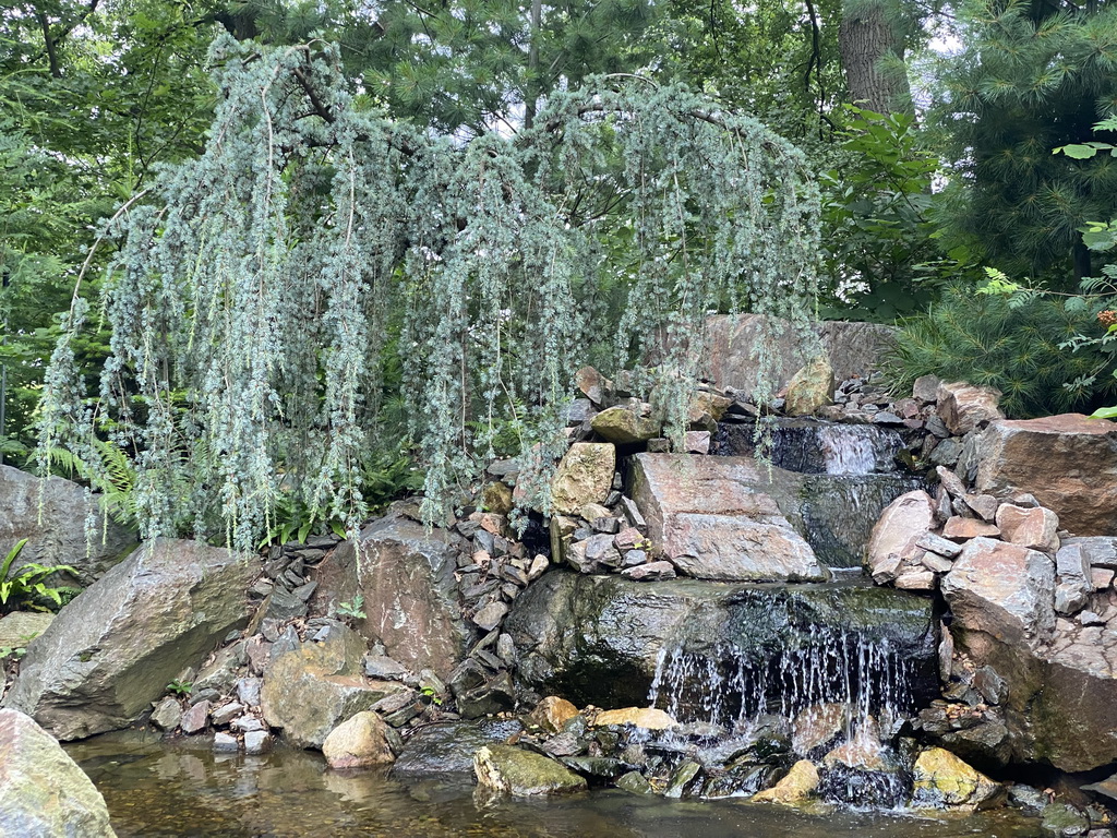 Tree and waterfall at the Six Swans attraction at the Fairytale Forest at the Marerijk kingdom, viewed from one of the boats
