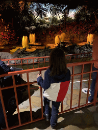 Max at the Indian Water Lilies attraction at the Fairytale Forest at the Marerijk kingdom