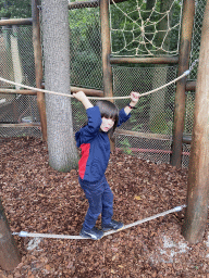 Max on a rope bridge at the Nest! play forest at the Ruigrijk kingdom