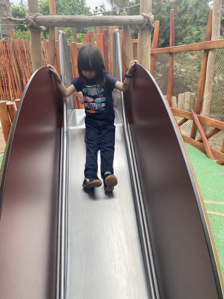 Max on a slide at the Nest! play forest at the Ruigrijk kingdom