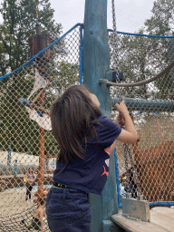 Max raising a flag at the Nest! play forest at the Ruigrijk kingdom