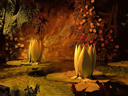 The Water Lilies at the Indian Water Lilies attraction at the Fairytale Forest at the Marerijk kingdom