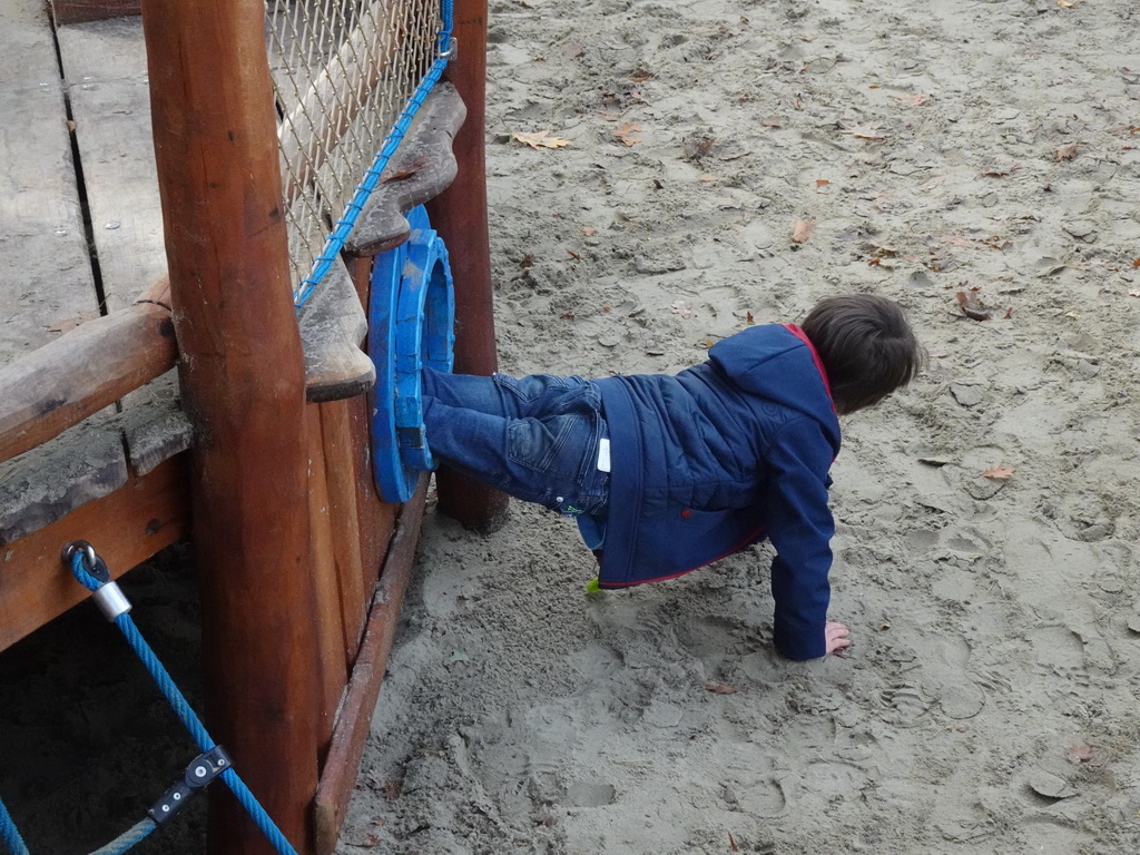 Max going through a hole at the Nest! play forest at the Ruigrijk kingdom