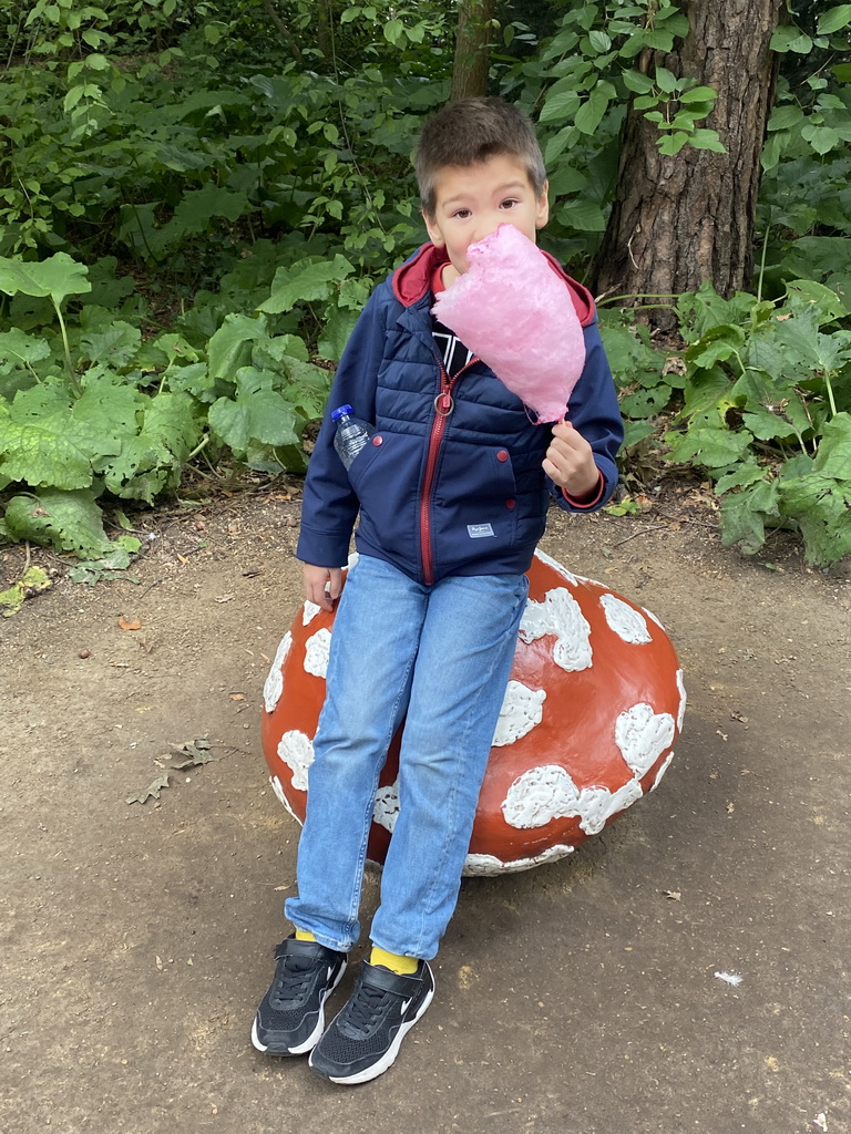 Max with a candyfloss on a mushroom statue at the Fairytale Forest at the Marerijk kingdom