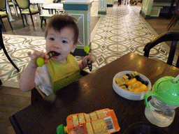 Max having lunch at the Witte Paard restaurant at the Anton Pieck Plein square at the Marerijk kingdom