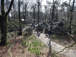 The Gnome Village attraction at the Fairytale Forest at the Marerijk kingdom, viewed from the Sleeping Beauty attraction