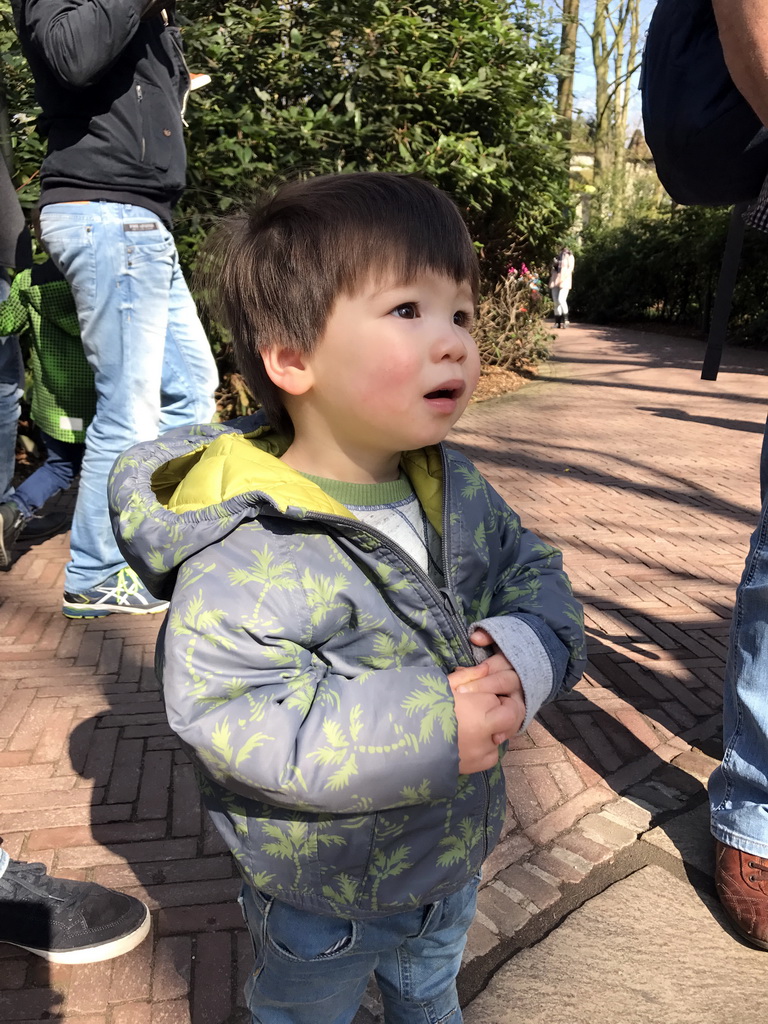 Max looking at the Dragon attraction at the Fairytale Forest at the Marerijk kingdom