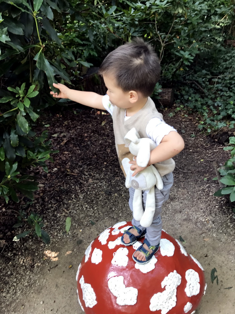 Max on a mushroom statue at the Fairytale Forest at the Marerijk kingdom