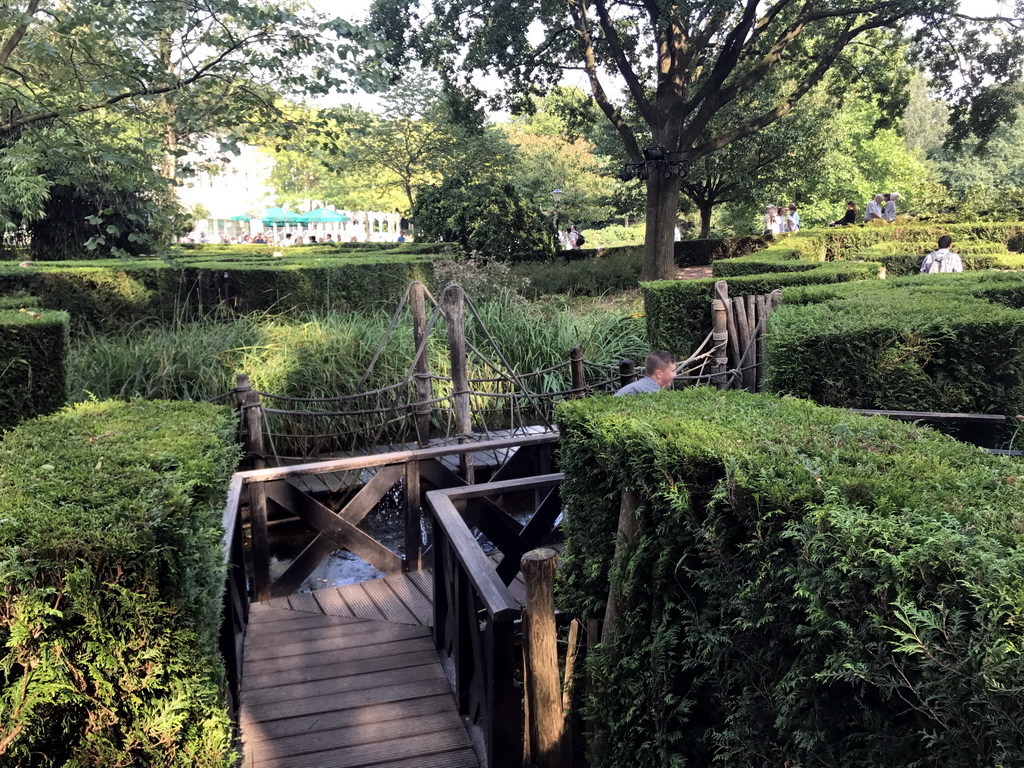 Bridge at the Adventure Maze at the Reizenrijk kingdom