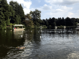 Gondolettas, ducks and seagulls at the Gondoletta attraction at the Reizenrijk kingdom