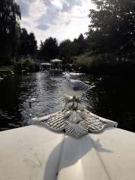 Seagull at the front of our Gondoletta at the Gondoletta attraction at the Reizenrijk kingdom