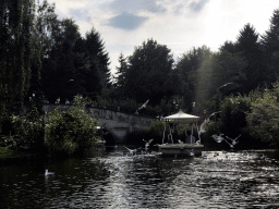 Bridge, seagulls and Gondoletta at the Gondoletta attraction at the Reizenrijk kingdom