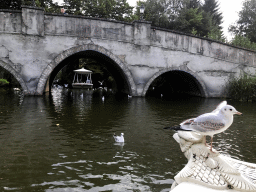 Bridge, seagulls and Gondoletta at the Gondoletta attraction at the Reizenrijk kingdom