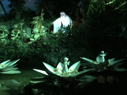 The Witch, the Frogs and the Water Lilies at the Indian Water Lilies attraction at the Fairytale Forest at the Marerijk kingdom