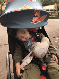 Max sleeping in front of the Stoomcarrousel attraction at the Marerijk kingdom