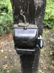 Switch for the light bulb in the Leunhuys building at the Laafland attraction at the Marerijk kingdom