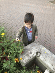 Max with flowers at the Anton Pieck Plein square at the Marerijk kingdom